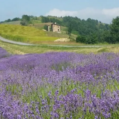 Bed & Breakfast Residenza Anastasia *