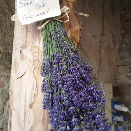 Residenza Anastasia Ceva
